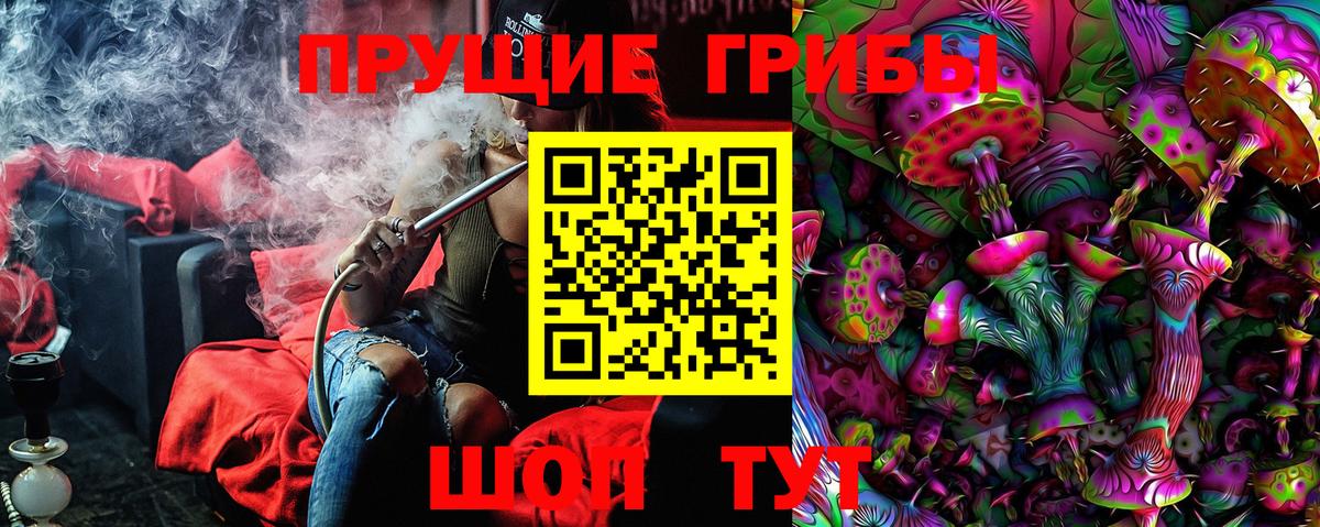 Галлюциногенные грибы Cubensis Губаха
