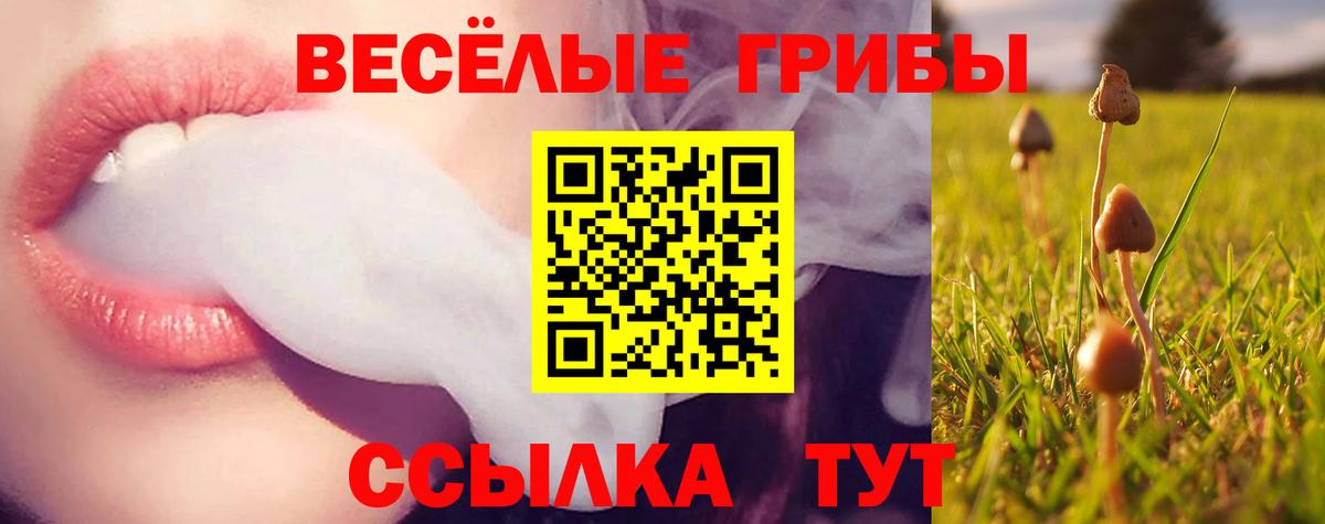 Псилоцибиновые грибы GOLDEN TEACHER  Вход с VPN  Губаха  Псилоцибиновые грибы Psilocybine cubensis 